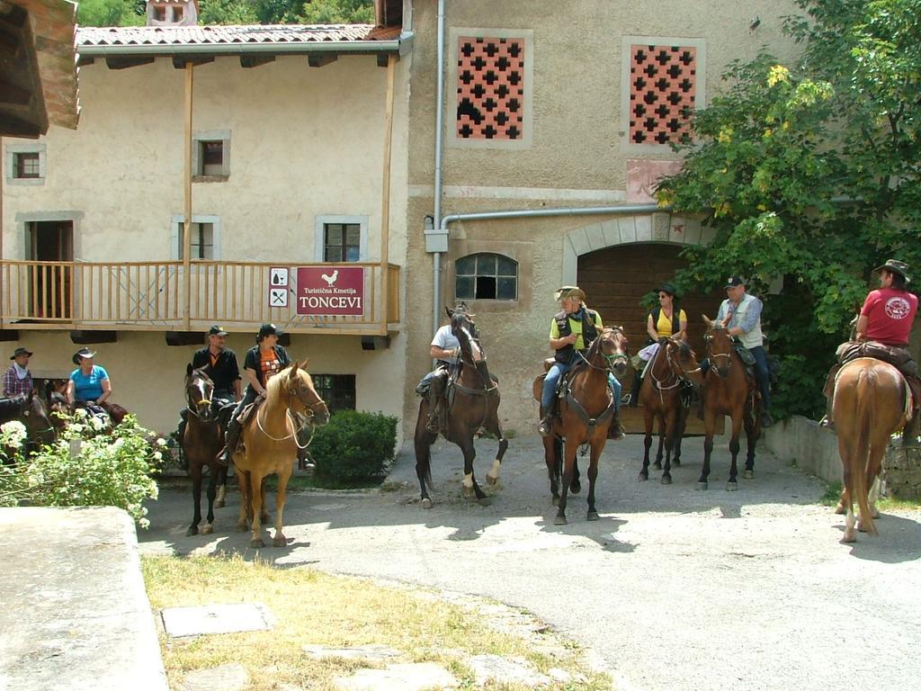 Hotel Toncevi Eco Estate Branik Zewnętrze zdjęcie