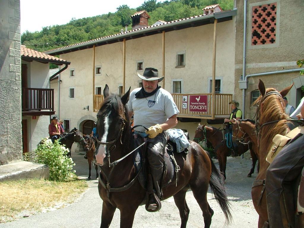 Hotel Toncevi Eco Estate Branik Zewnętrze zdjęcie